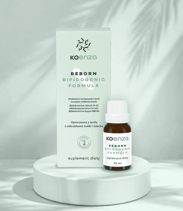 KOENZA REBORN